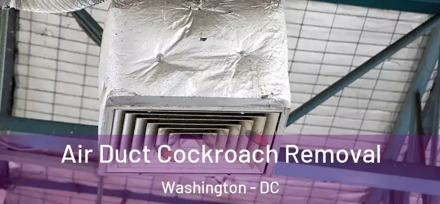  Air Duct Cockroach Removal Washington - DC