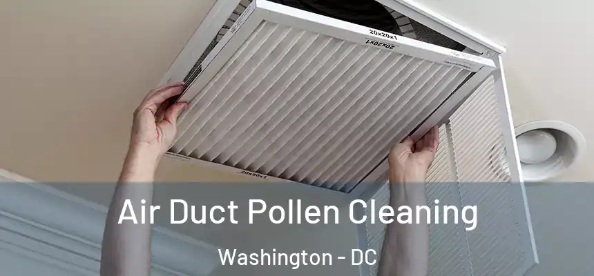  Air Duct Pollen Cleaning Washington - DC