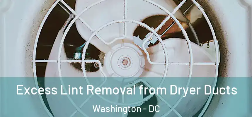  Excess Lint Removal from Dryer Ducts Washington - DC