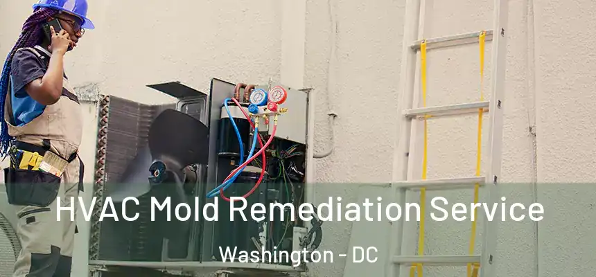 HVAC Mold Remediation Service Washington - DC