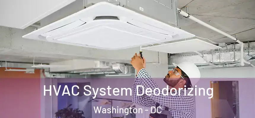  HVAC System Deodorizing Washington - DC