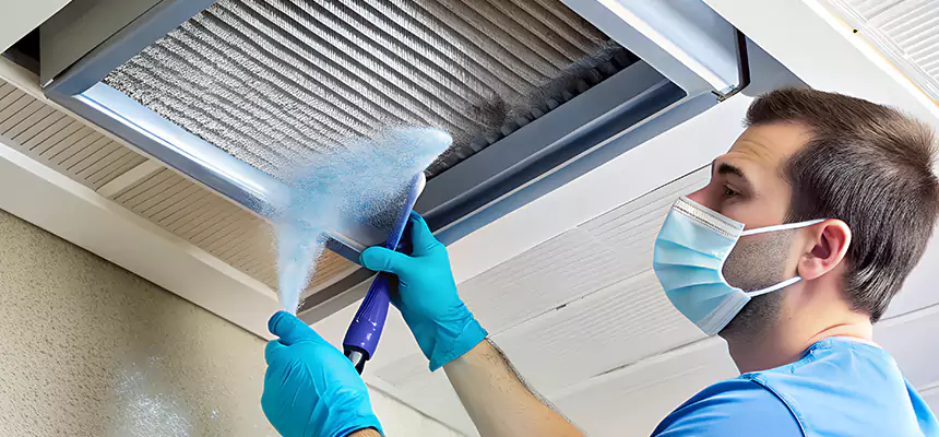 Proactive Dryer Vent & Auxiliary Duct Pollen Cleanup in Washington, DC