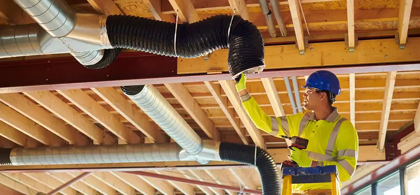 Replacing a Dryer Hose in Washington, DC