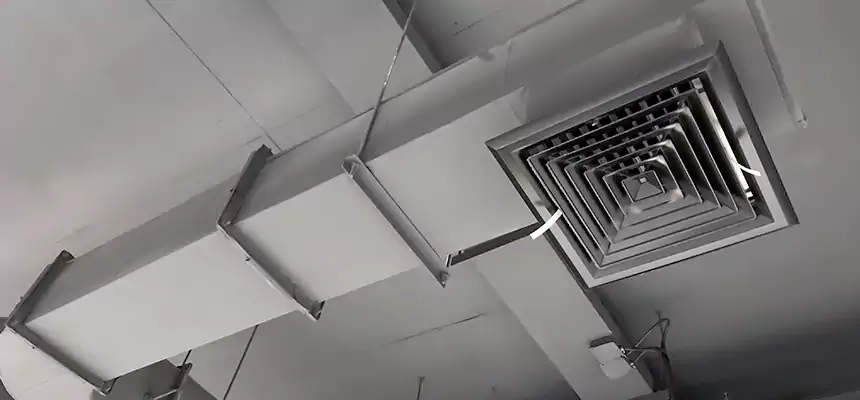 Our Pest Removal From Ducts Services in Washington, DC