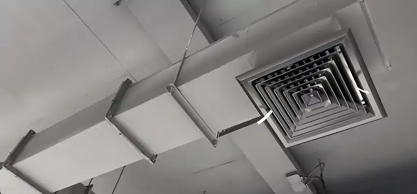 Our Rodent Droppings In Vents Services in Washington, DC