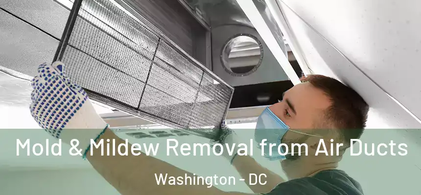  Mold & Mildew Removal from Air Ducts Washington - DC