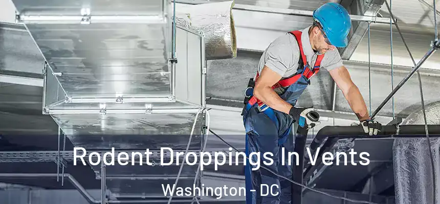  Rodent Droppings In Vents Washington - DC