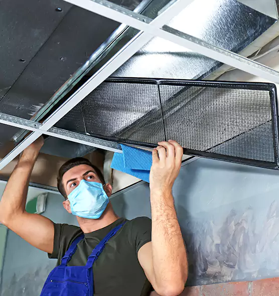 Professional Air Duct Pollen Cleaning in Washington, DC