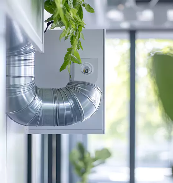 Professional Eco-Friendly Duct Cleaning Services in Washington, DC