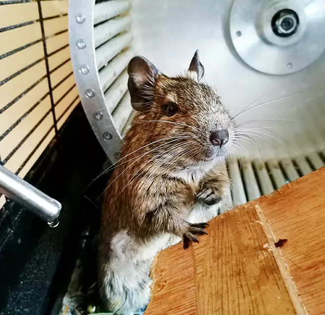 Why Homeowners & Businesses Trust Us Washington, DC