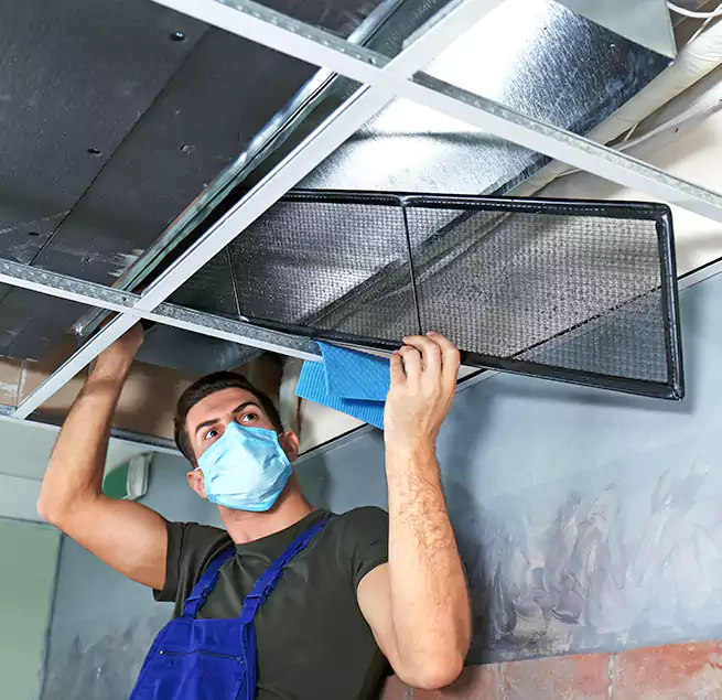 Why Homeowners Businesses Trust Us in Washington, DC