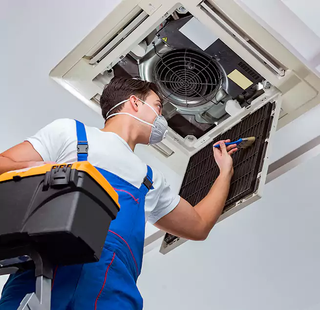 Why Homeowners & Businesses Trust Us in Washington, DC